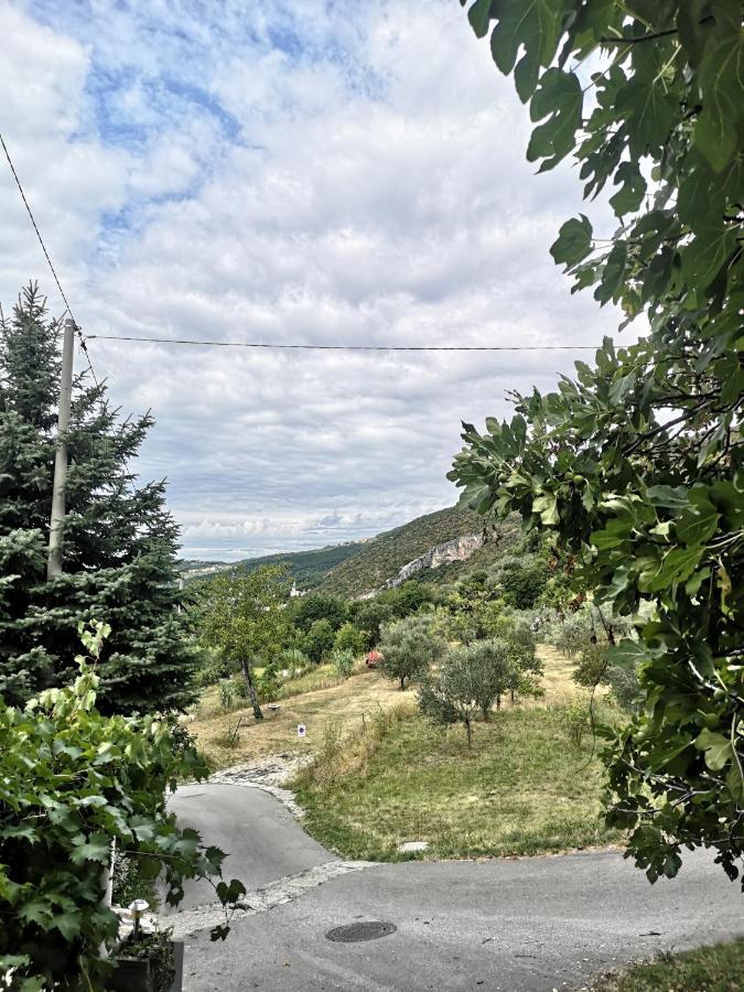 Vila House Čeh Črni Kal Exteriér fotografie