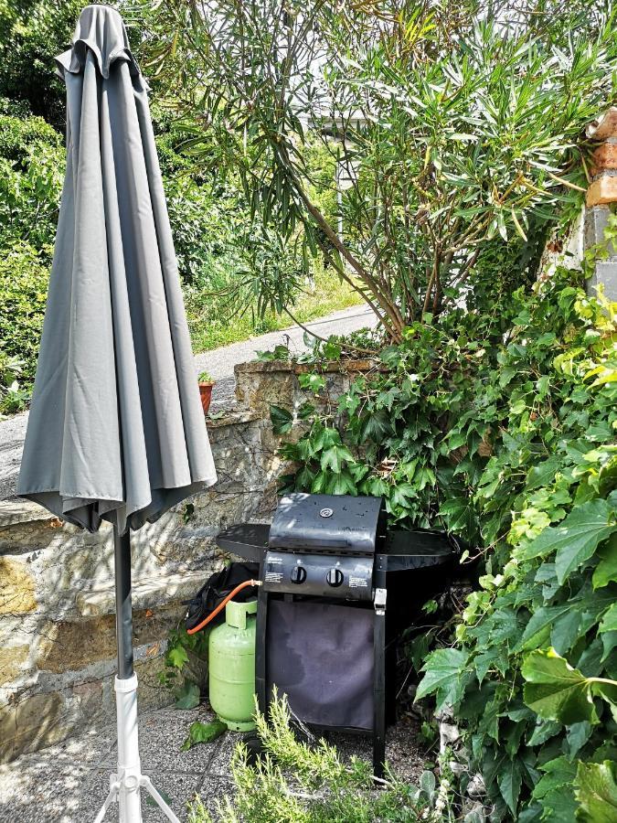 Vila House Čeh Črni Kal Exteriér fotografie