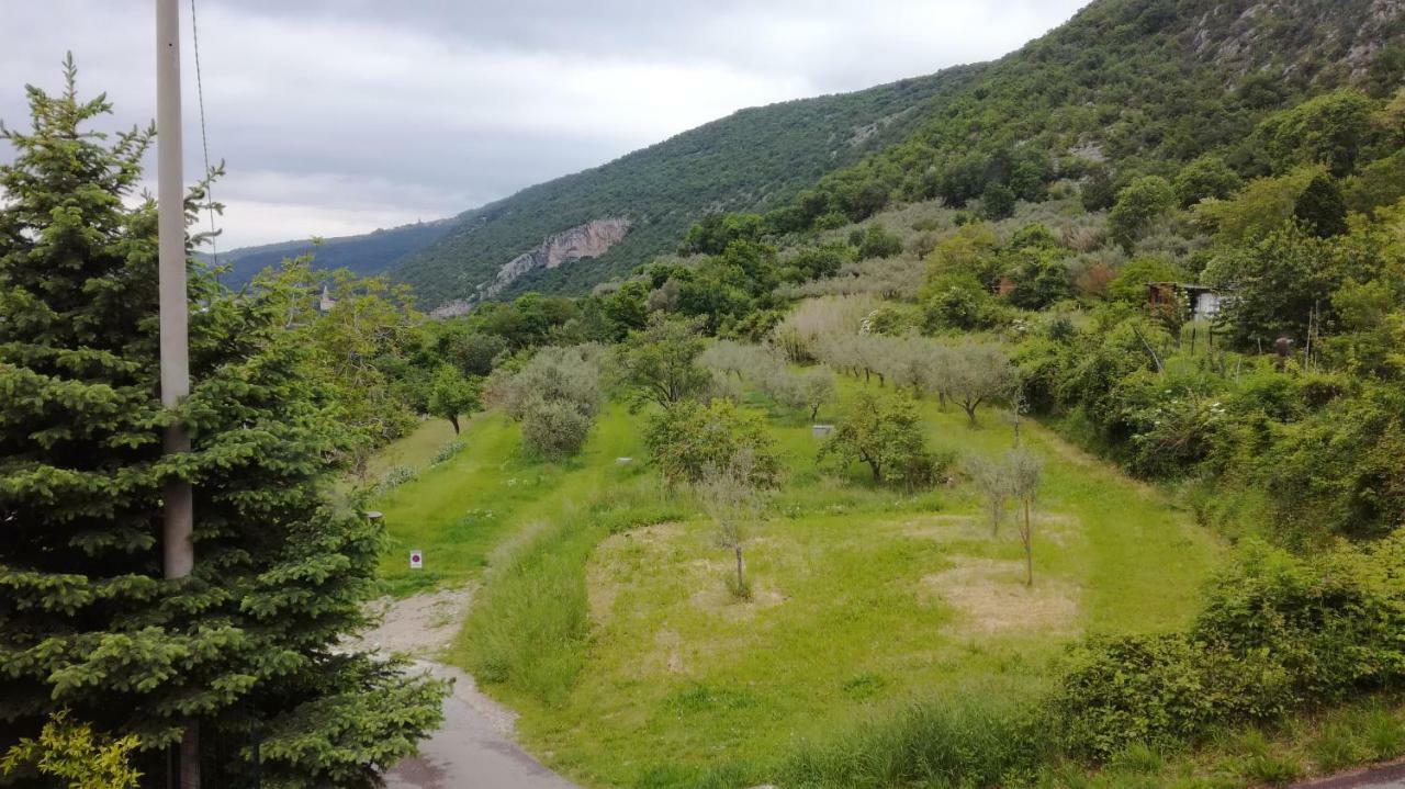 Vila House Čeh Črni Kal Exteriér fotografie